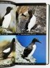 THE AUDUBON SOCIETY FIELD GUIDE TO NORTH AMERICAN BIRDS - Estern Region